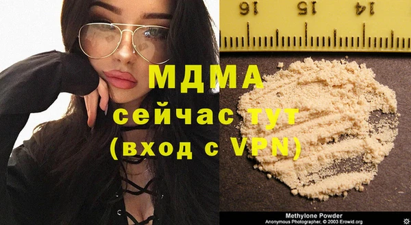 прущие грибы Медвежьегорск