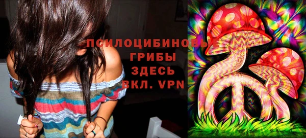 прущая мука Аркадак