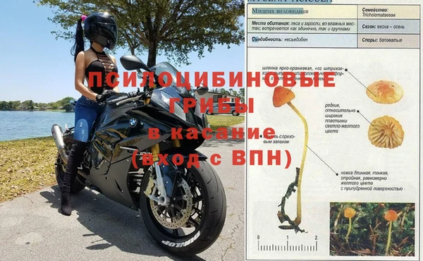 прущая мука Аркадак
