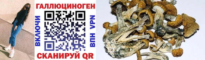 Галлюциногенные грибы Magic Shrooms  блэк спрут ССЫЛКА  Великие Луки  даркнет сайт 